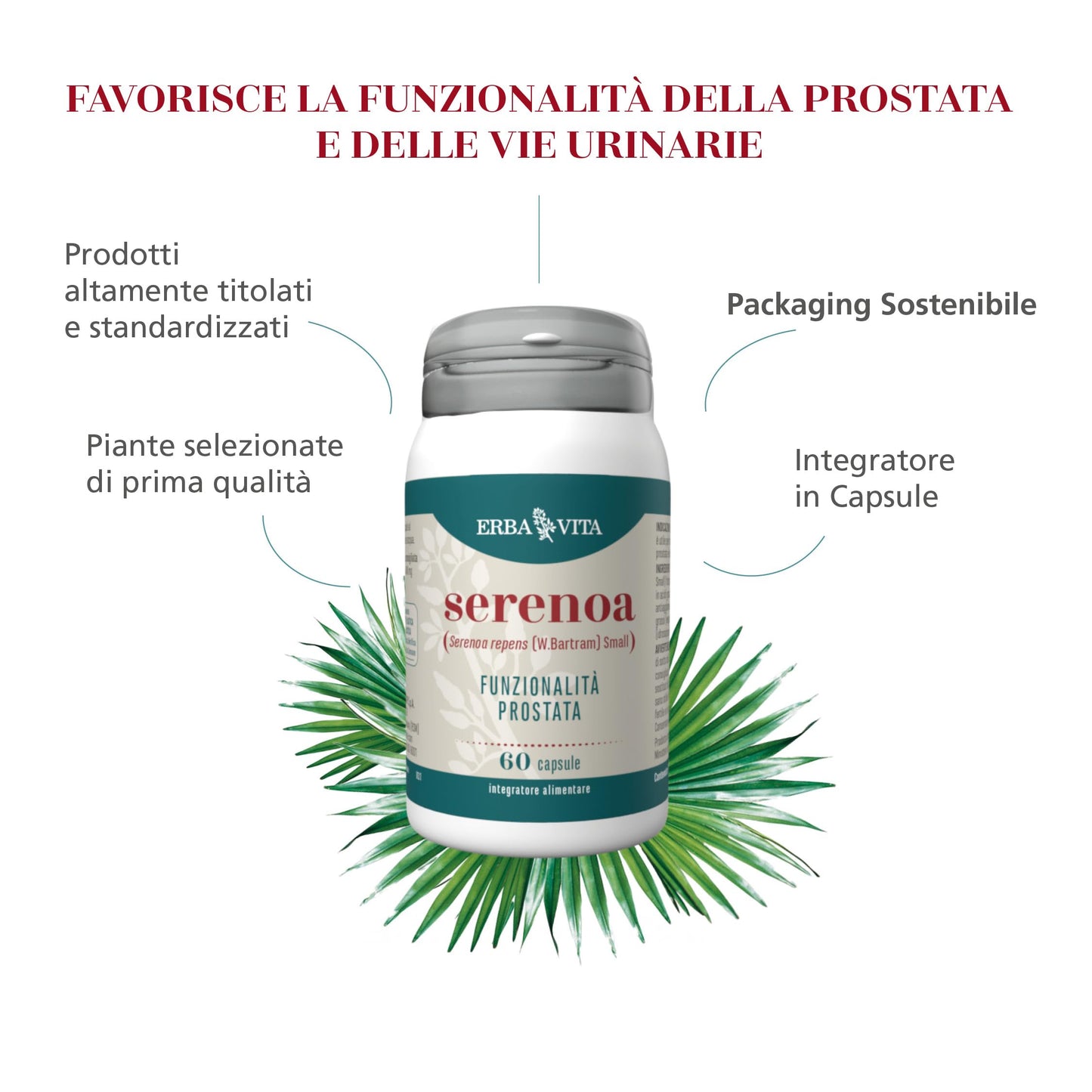 ERBA VITA Integratore Alimentare di Serenoa, 60 Capsule, per Salute della prostata