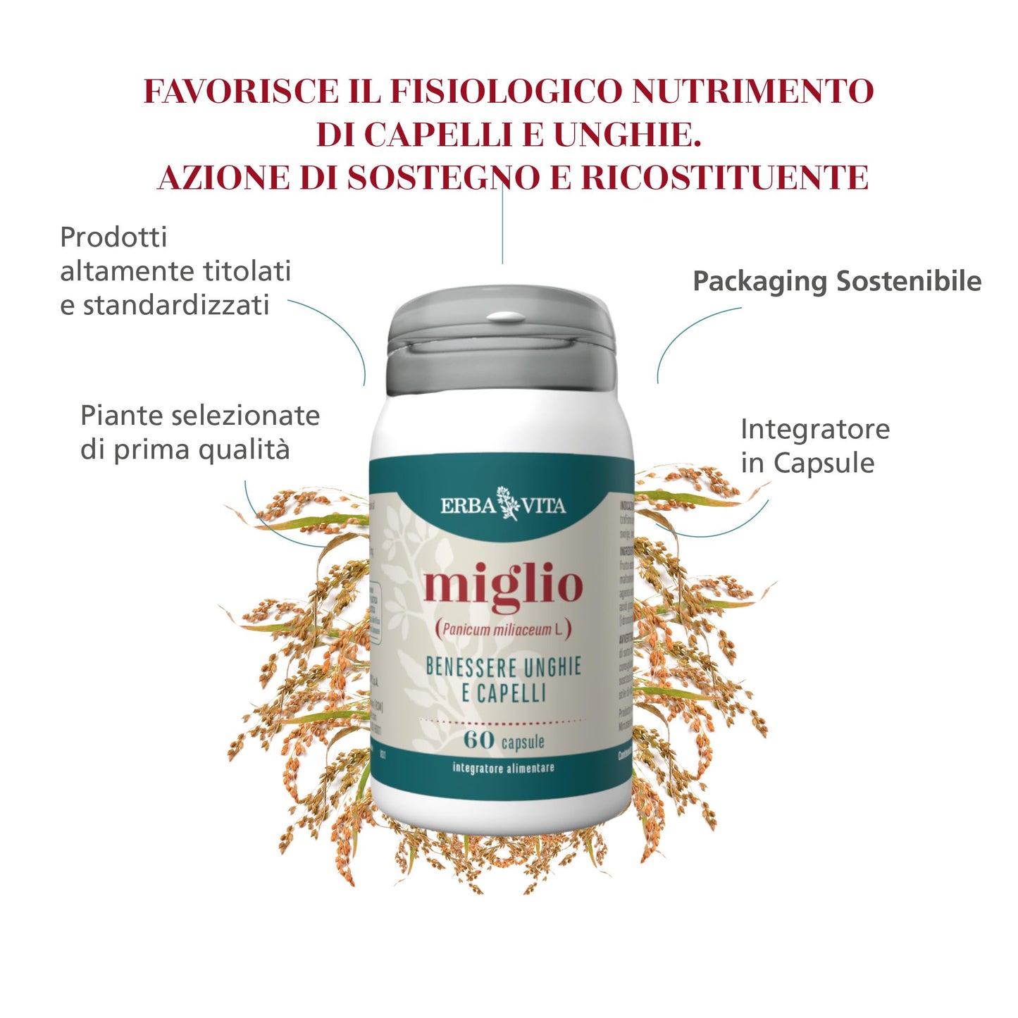 ERBA VITA Integratore Alimentare di Miglio - 60 Capsule - Formula potenziata utile per capelli e unghie