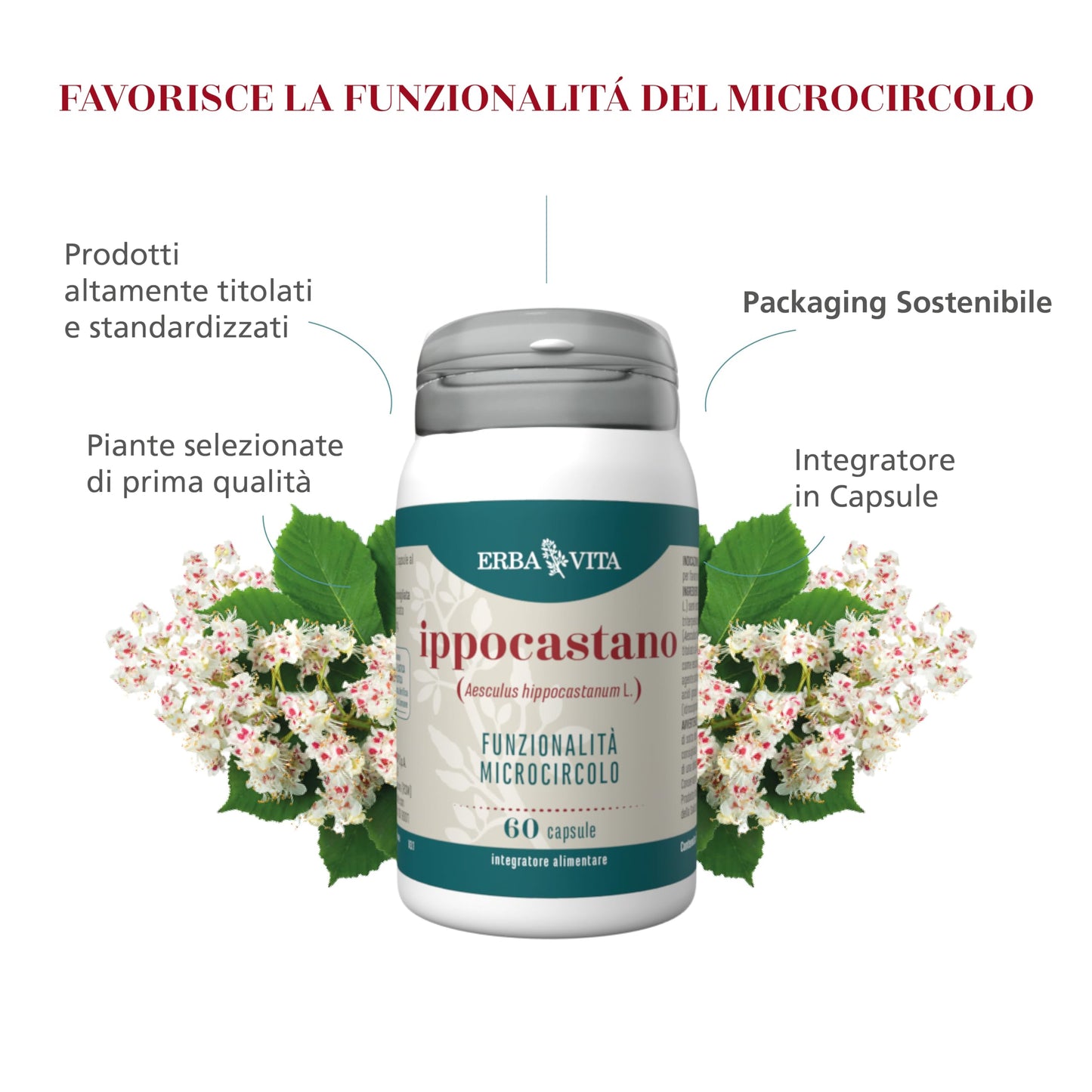 Integratore Alimentare di Ippocastano