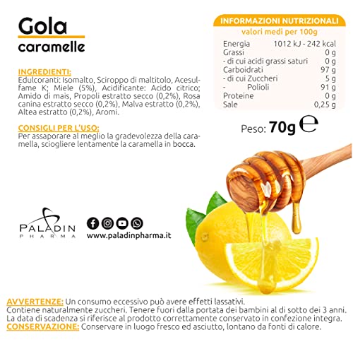 Sanavita Gola Limone Miele Caramelle con Propoli, Malva, Altea e Rosa Canina - 24 caramelle per confezione