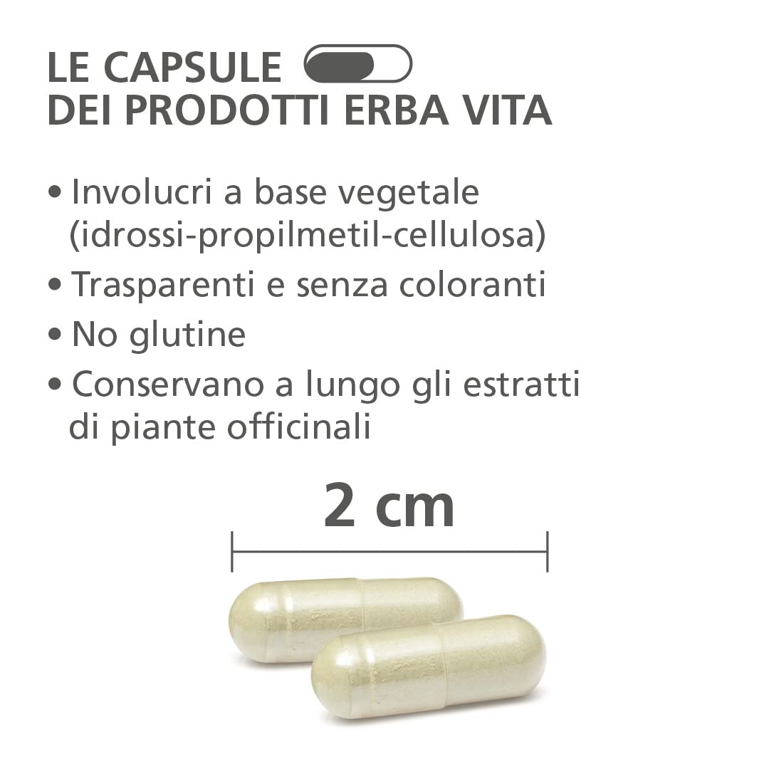ERBA VITA Integratore Alimentare di Miglio - 60 Capsule - Formula potenziata utile per capelli e unghie