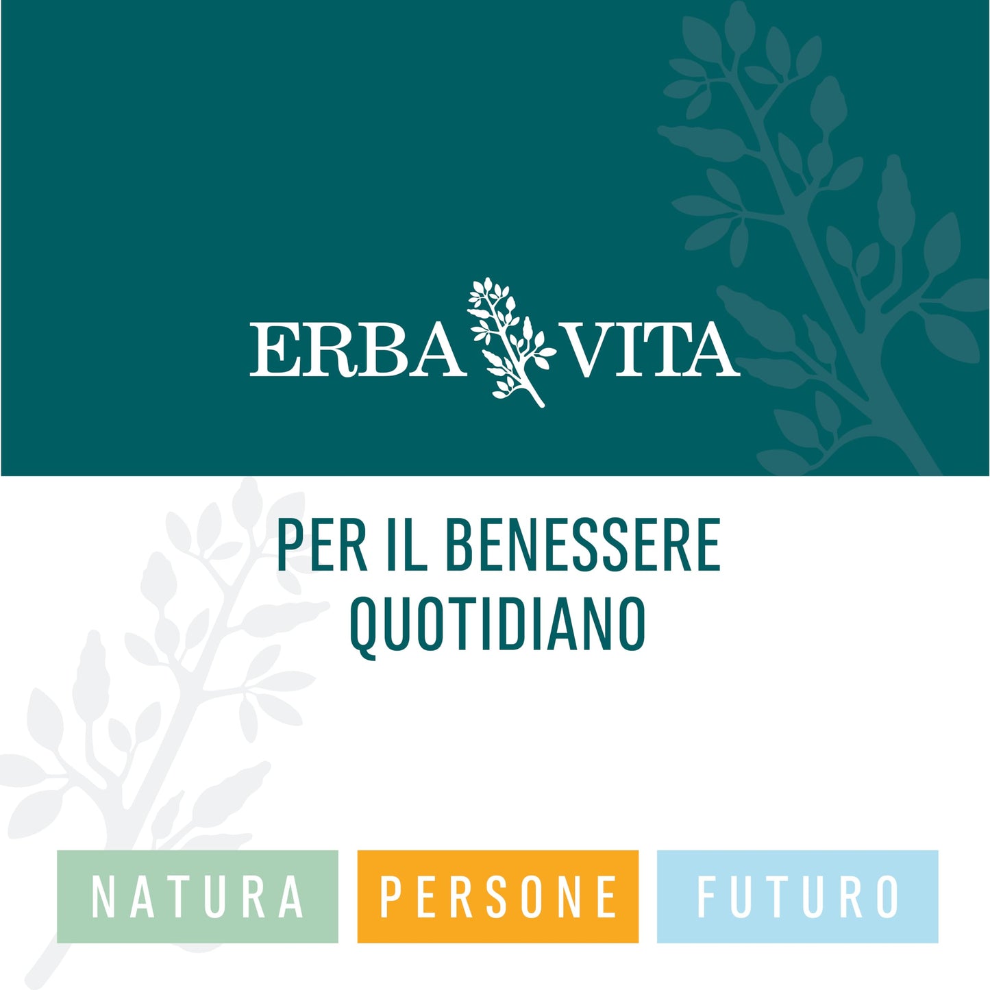 ERBA VITA Integratore Alimentare di Riso rosso fermentato - 60 Capsule - Favorisce normali livelli di colesterolo nel sangue