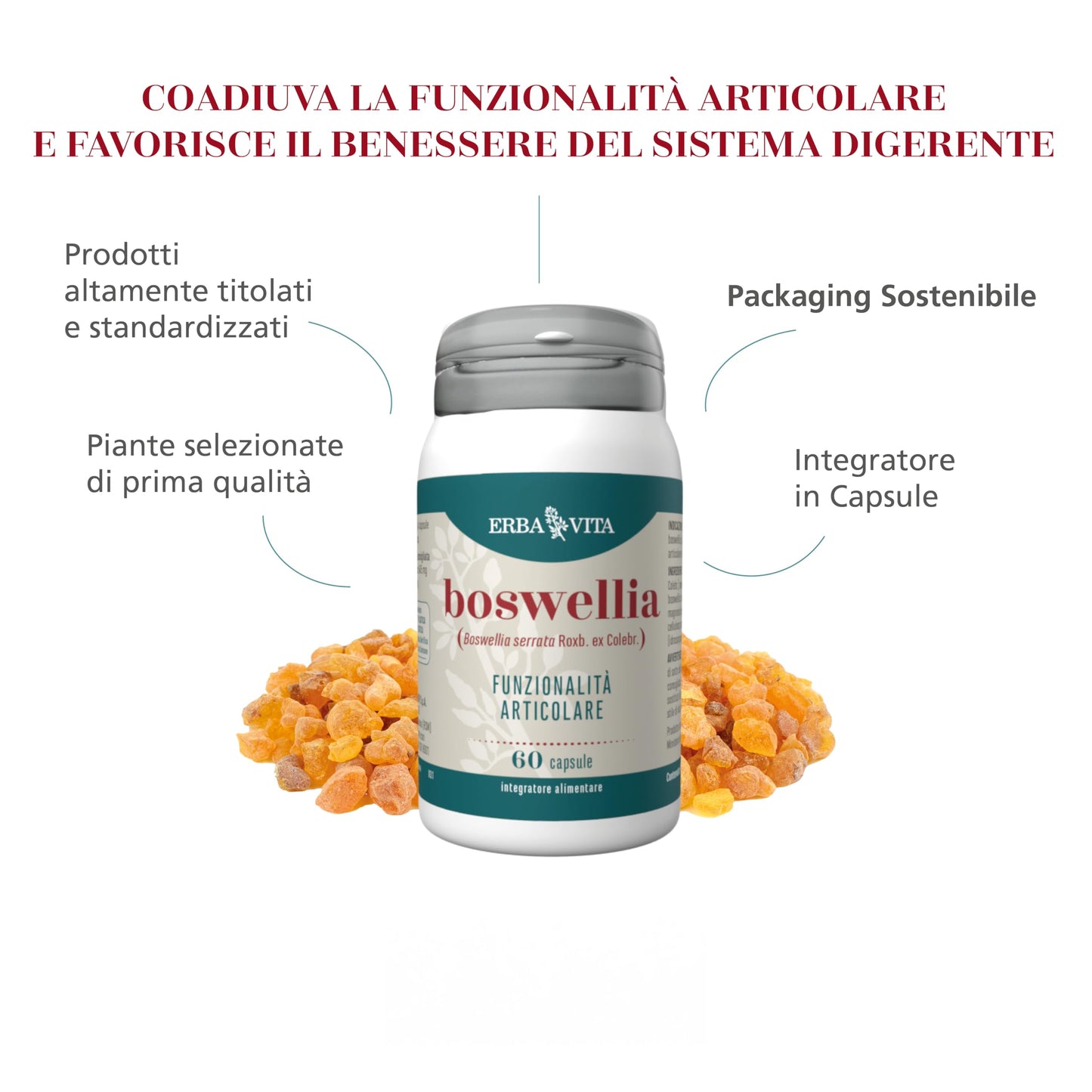 ERBA VITA Integratore Alimentare di Boswellia- 60 Capsule - Favorisce la funzionalità articolare e il benessere del sistrema digerente, 60 unità, 1