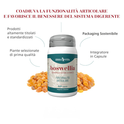 ERBA VITA Integratore Alimentare di Boswellia- 60 Capsule - Favorisce la funzionalità articolare e il benessere del sistrema digerente, 60 unità, 1