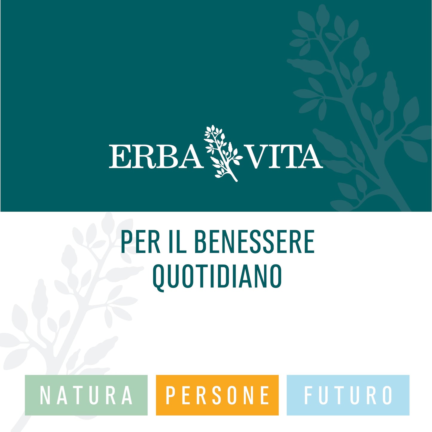 ERBA VITA Integratore Alimentare Di Mirtillo Nero - 60 Capsule - Fonte naturale di antocianosidi
