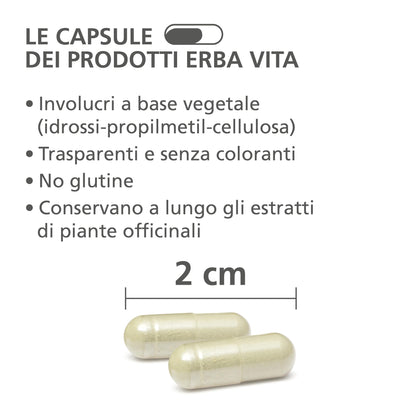 ERBA VITA Integratore Alimentare di Serenoa, 60 Capsule, per Salute della prostata