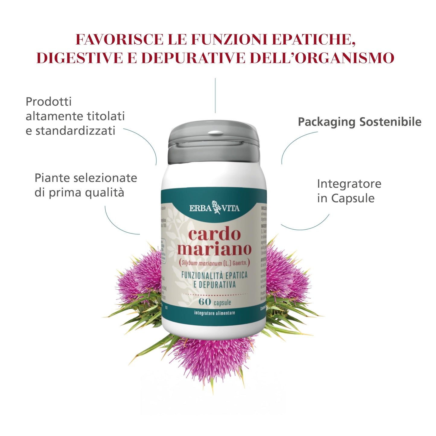 ERBA VITA Integratore Alimentare di Cardo Mariano, 60 Capsule - Utile alla depurazione e detossificazione del fegato, 60 unità, 1