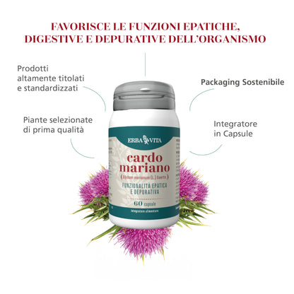 ERBA VITA Integratore Alimentare di Cardo Mariano, 60 Capsule - Utile alla depurazione e detossificazione del fegato, 60 unità, 1