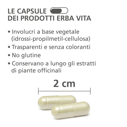 ERBA VITA Integratore Alimentare di Riso rosso fermentato - 60 Capsule - Favorisce normali livelli di colesterolo nel sangue