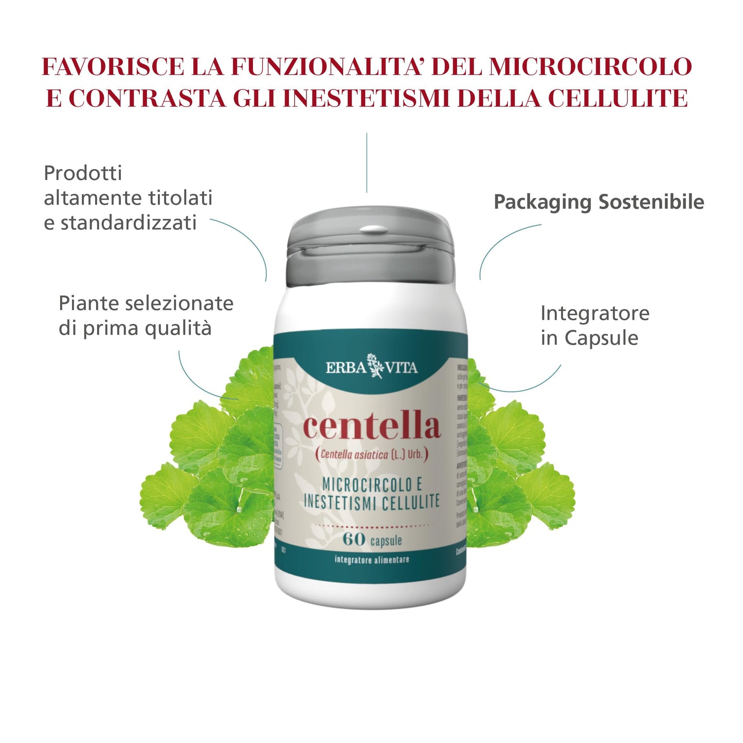 ERBA VITA Integratore Alimentare di Centella - 60 Capsule - Favorisce il microcircolo e contrasta gli inestetismi della cellulite
