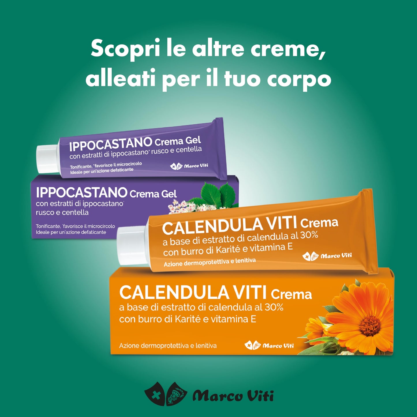 Arnica Viti - Gel Forte, 100 ml, Lenitivo con Arnica Montana al 30%, Sollievo Rapido per Dolori Muscolari e Articolari, Senza Parabeni